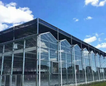 ECO Green House Venlo Greenhouse