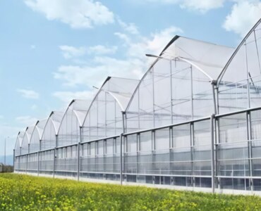ECO Green House Gothic Greenhouse