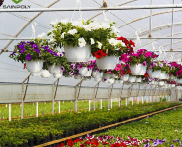 ECO Green House Flower Greenhouse