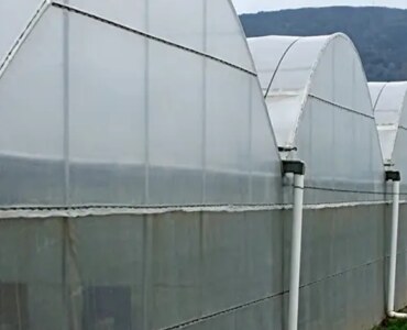ECO Green House Multi-Span Greenhouse