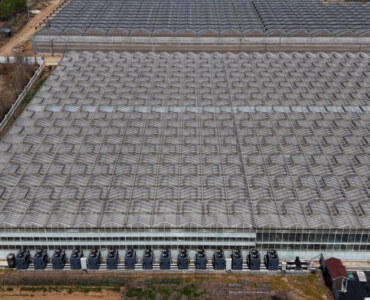 ECO Green House Hydroponic Greenhouse