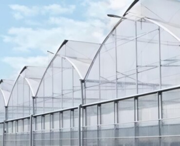 ECO Green House Gothic Greenhouse