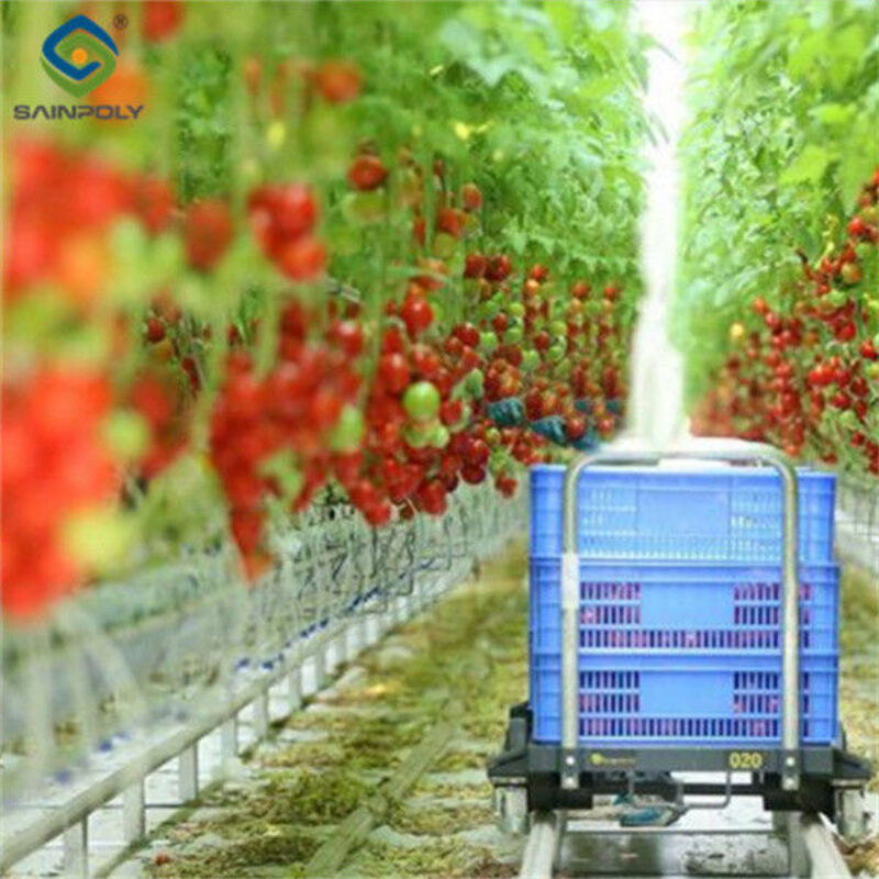 Greenhouse Hydroponics Gutter System With Grow Bags For Growing Tomato