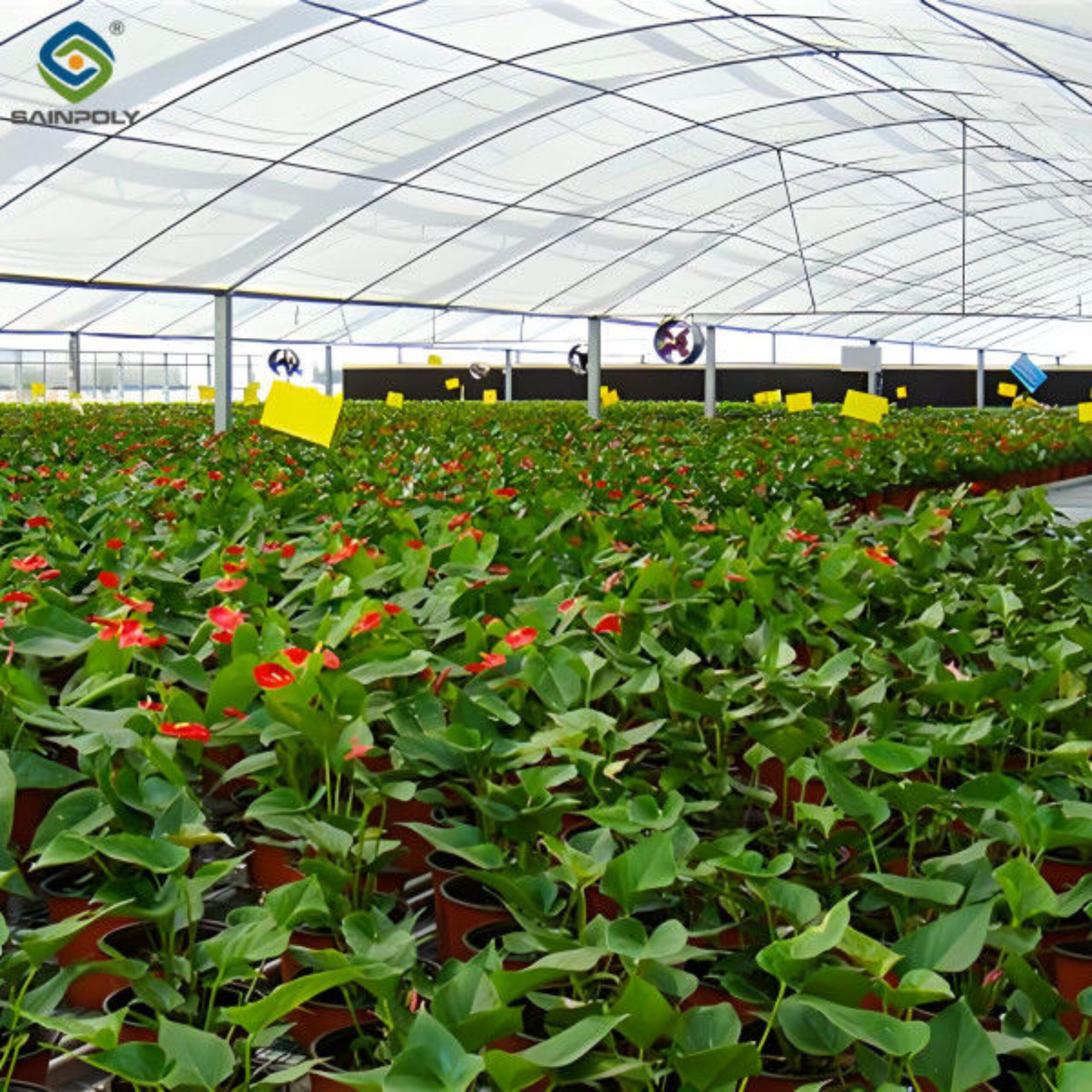 Heat Resisting Modern Multi Span Greenhouse For Commercial Agriculture