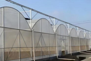 Heat Resisting Modern Multi Span Greenhouse For Commercial Agriculture