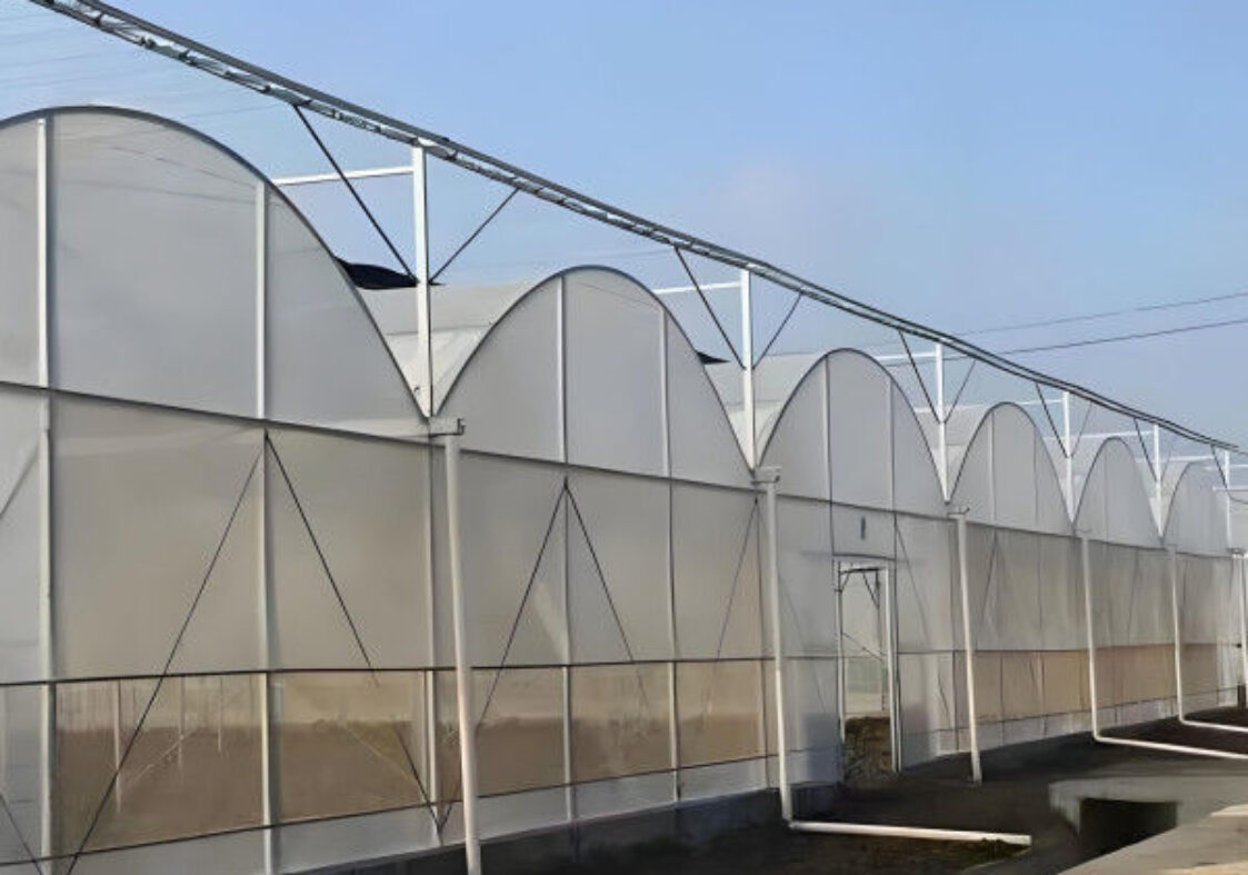 Heat Resisting Modern Multi Span Greenhouse For Commercial Agriculture