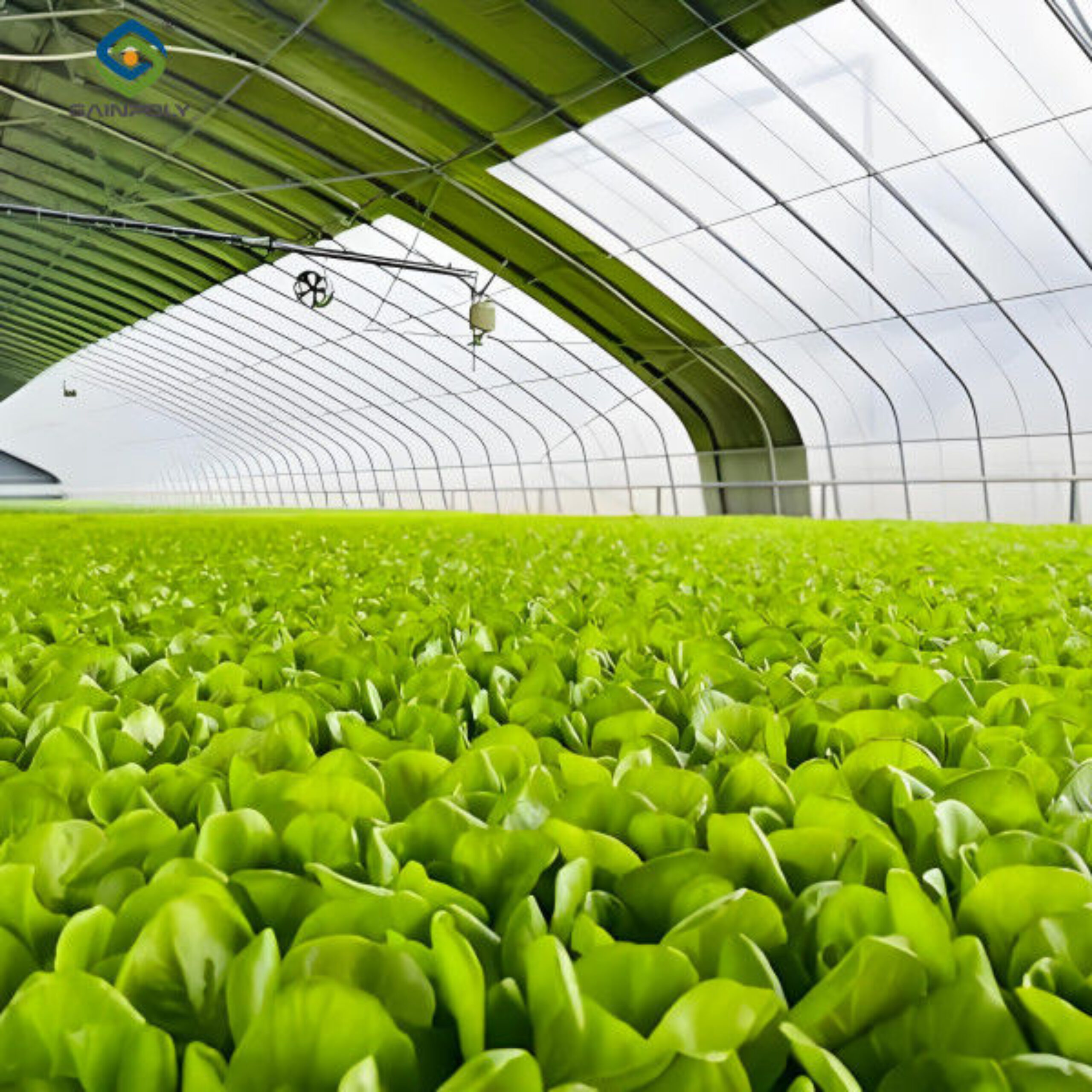 Heavy Duty Commercial Greenhouse With PE PO PEP Film Covering Wind Resistant