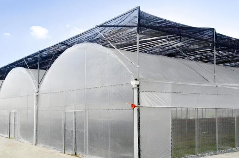 Heavy Duty Commercial Greenhouse With PE PO PEP Film Covering Wind Resistant