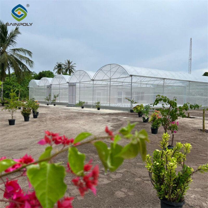 High Performance Commercial Greenhouses 30m/50m/60m Or Customized Length