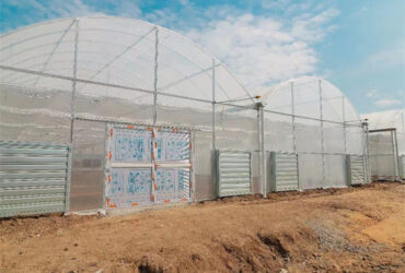 High Performance Commercial Greenhouses 30m/50m/60m Or Customized Length