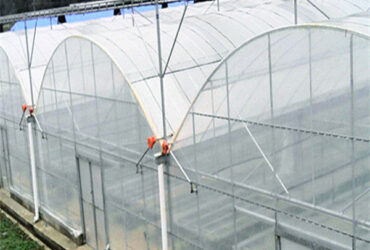 High Performance Commercial Greenhouses 30m/50m/60m Or Customized Length