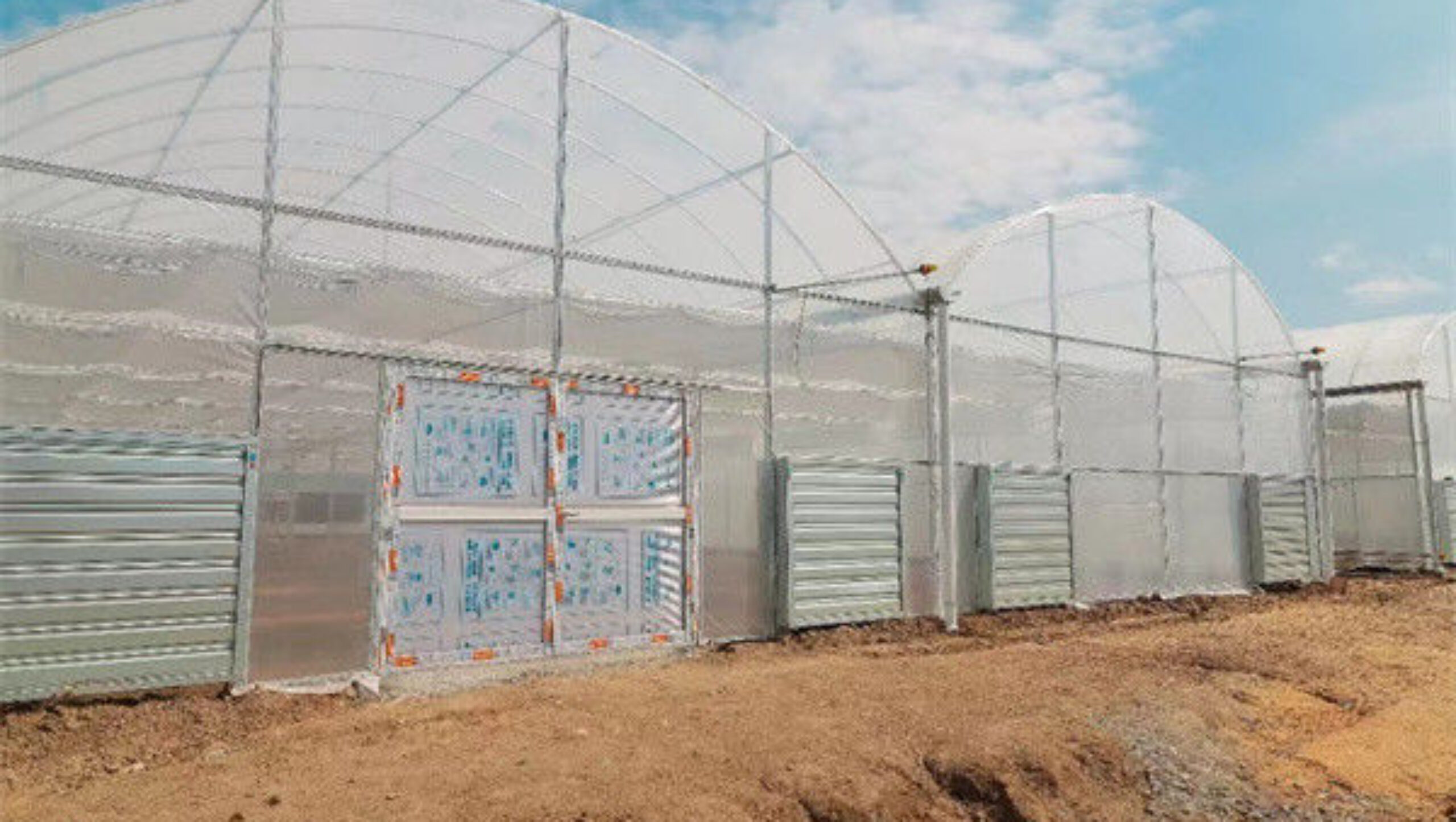High Performance Commercial Greenhouses 30m/50m/60m Or Customized Length