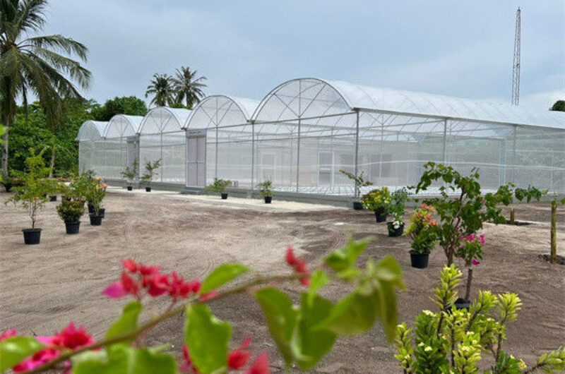 High Performance Commercial Greenhouses 30m/50m/60m Or Customized Length