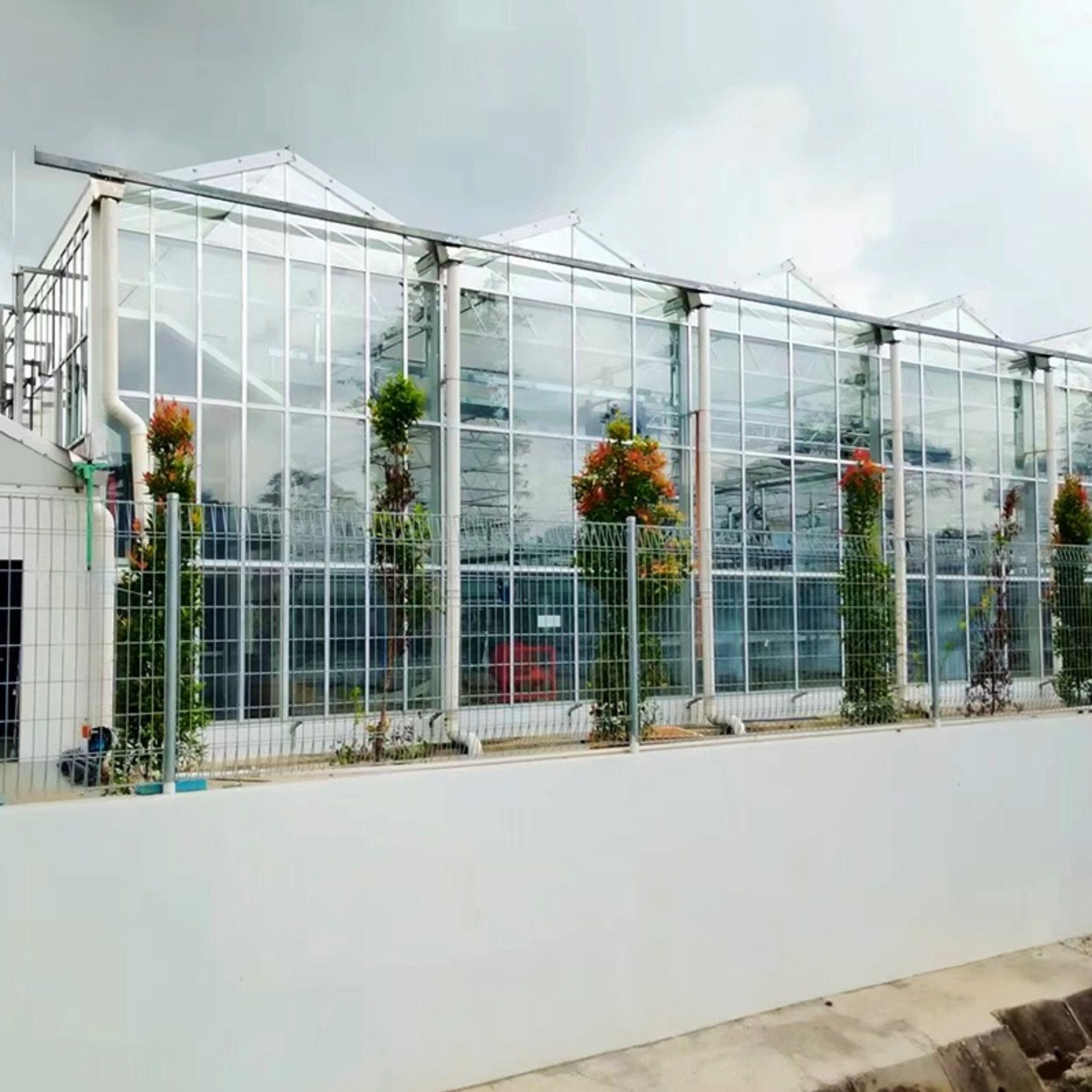 High-Precision Climate Control Commercial Semi-Closed Greenhouse Manufacturer for Scientific Breeding |