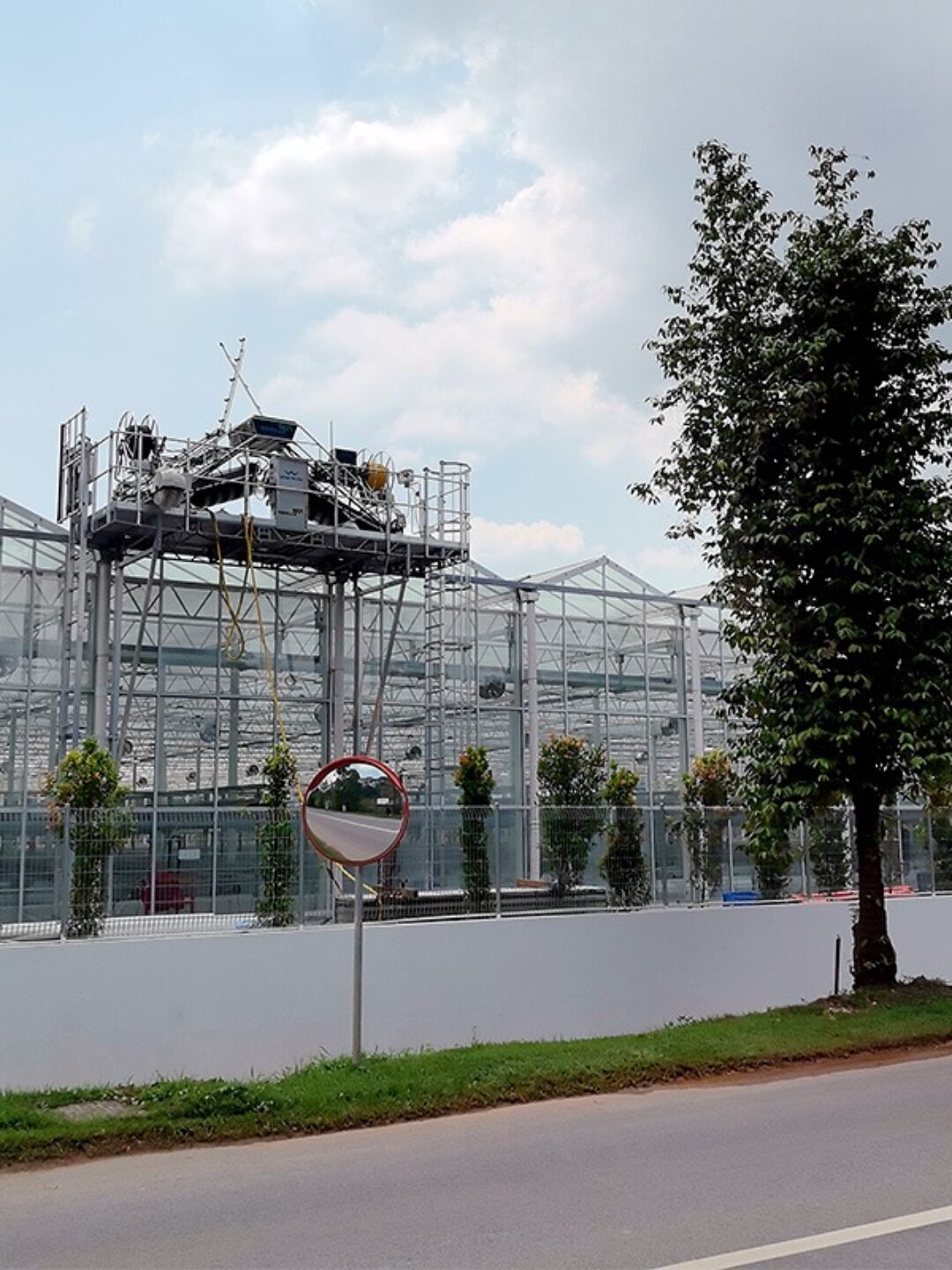 High-Precision Climate Control Commercial Semi-Closed Greenhouse Manufacturer for Scientific Breeding |