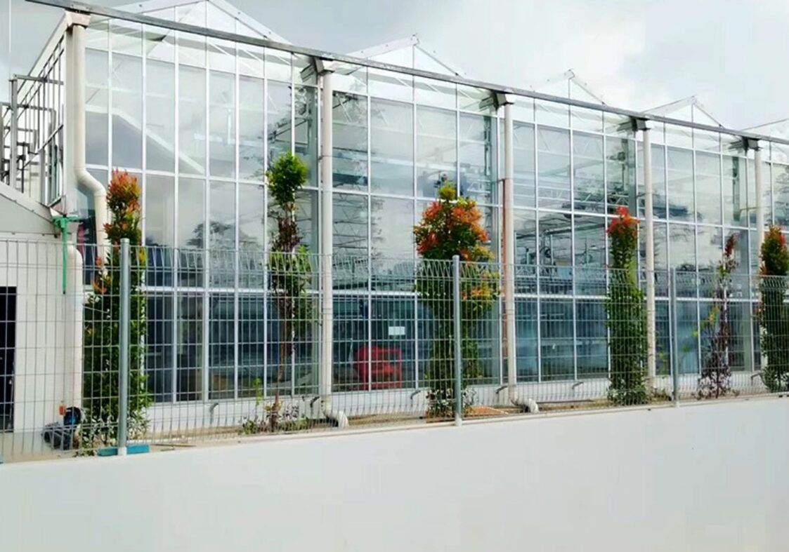 High-Precision Climate Control Commercial Semi-Closed Greenhouse Manufacturer for Scientific Breeding |
