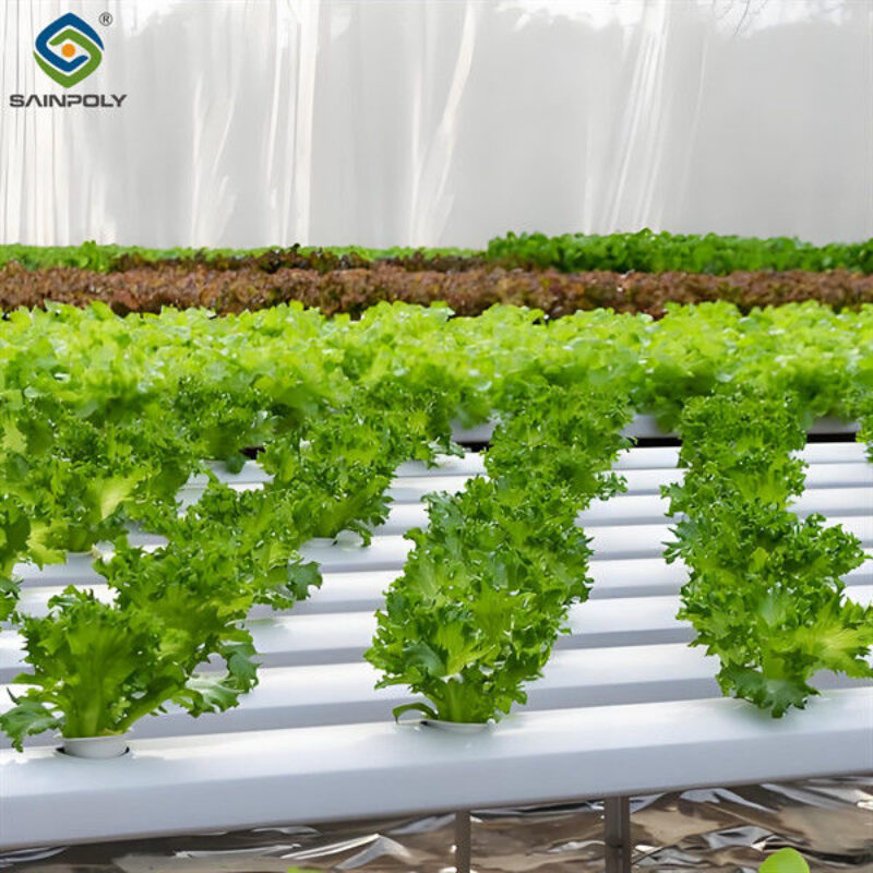 High Production Automated Hydroponic Greenhouse Large Glass Greenhouses
