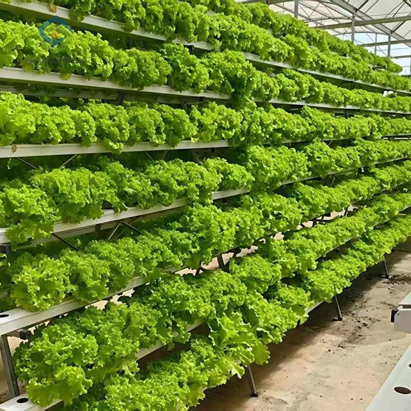 High Space Utilization Vertical Hydroponic Greenhouse