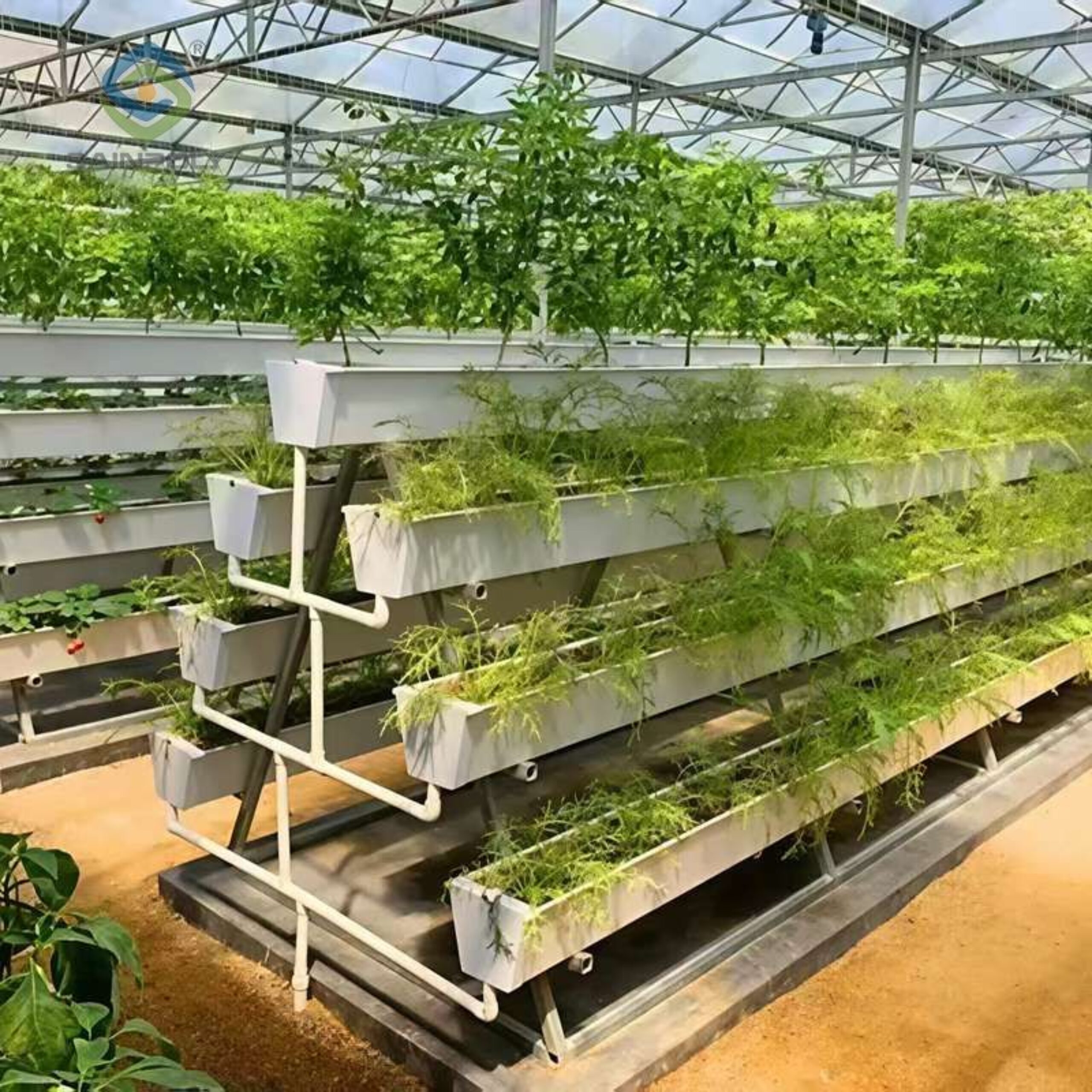 High Space Utilization Vertical Hydroponic Greenhouse