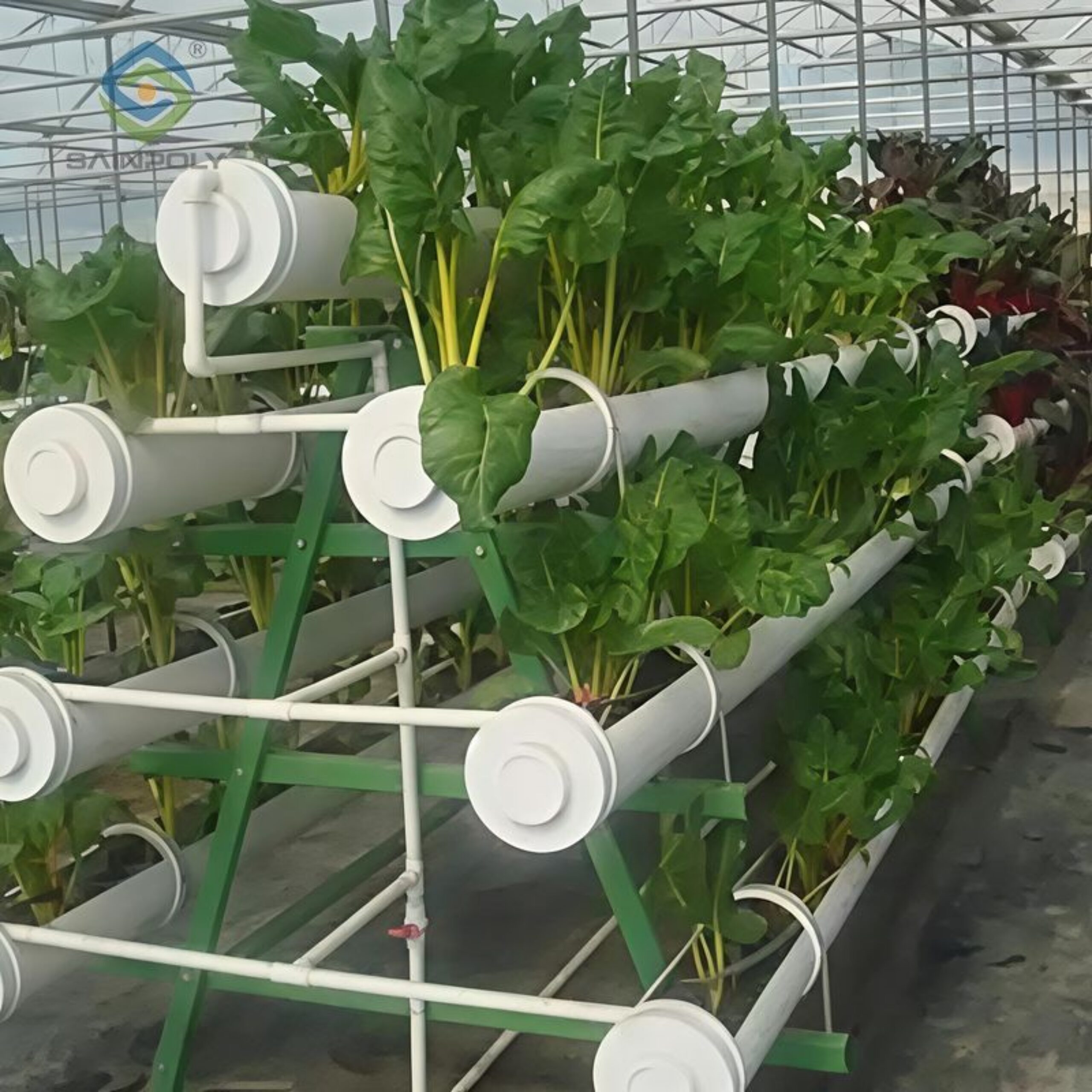 High Space Utilization Vertical Hydroponic Greenhouse