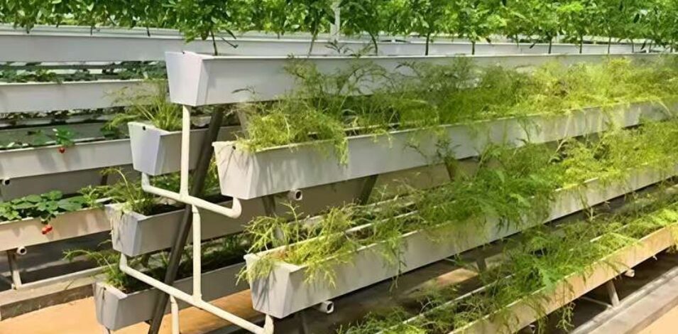 High Space Utilization Vertical Hydroponic Greenhouse