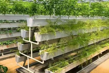 High Space Utilization Vertical Hydroponic Greenhouse