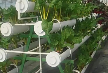 High Space Utilization Vertical Hydroponic Greenhouse