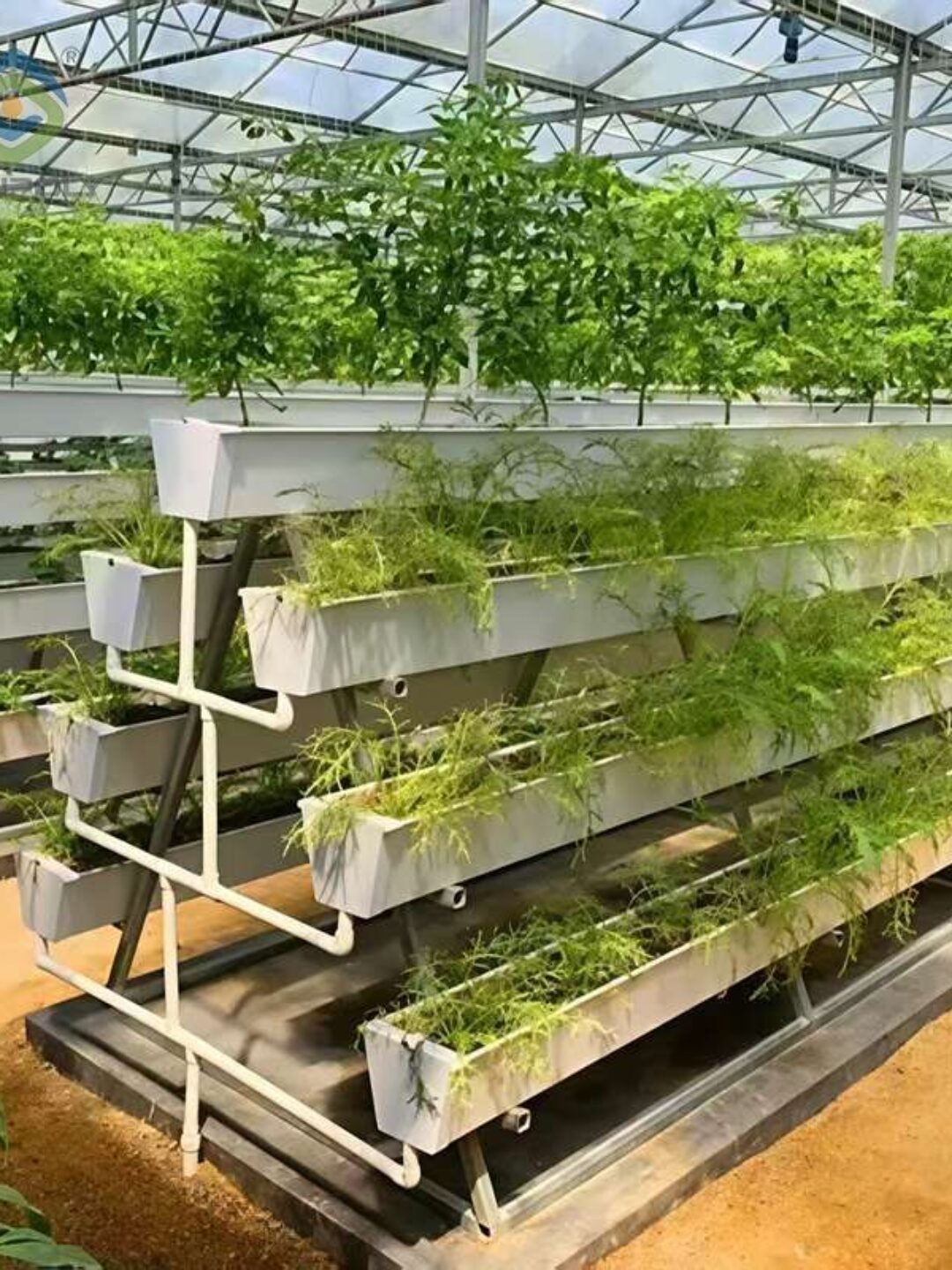 High Space Utilization Vertical Hydroponic Greenhouse