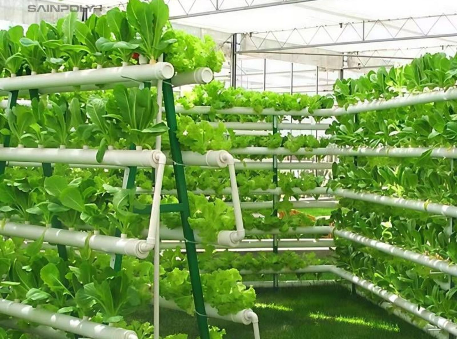 High Space Utilization Vertical Hydroponic Greenhouse