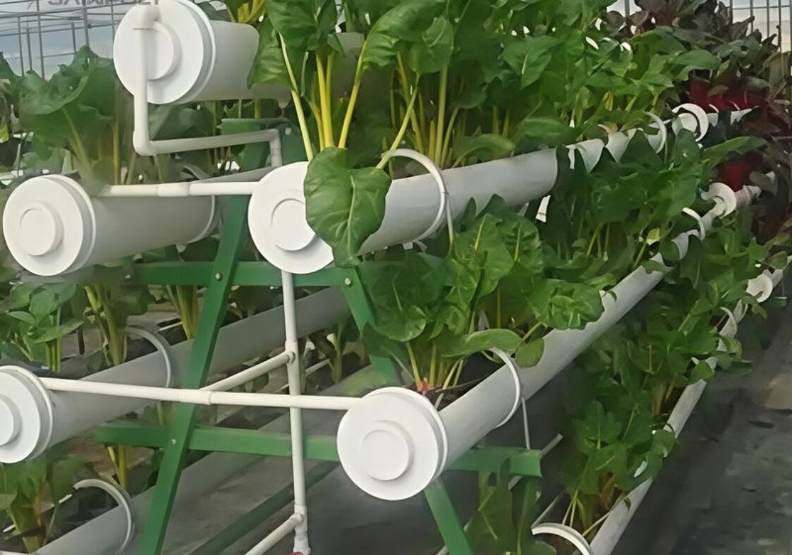 High Space Utilization Vertical Hydroponic Greenhouse