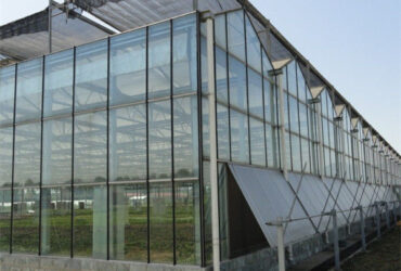 High Strength Agricultural Glass Greenhouse Venlo Type Easy Installation
