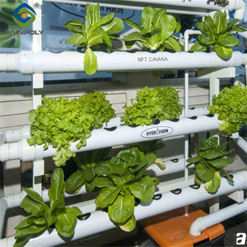 High Yield Agricultural Lettuce Greenhouse With Intelligent Control System