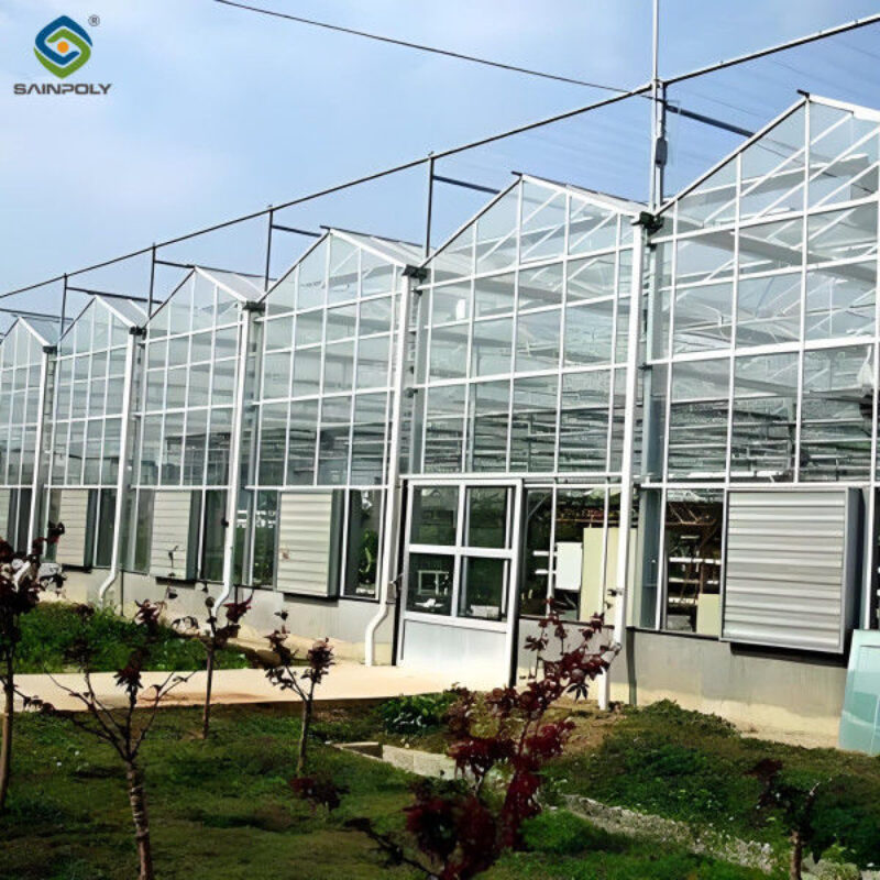 High Yield Agricultural Lettuce Greenhouse With Intelligent Control System