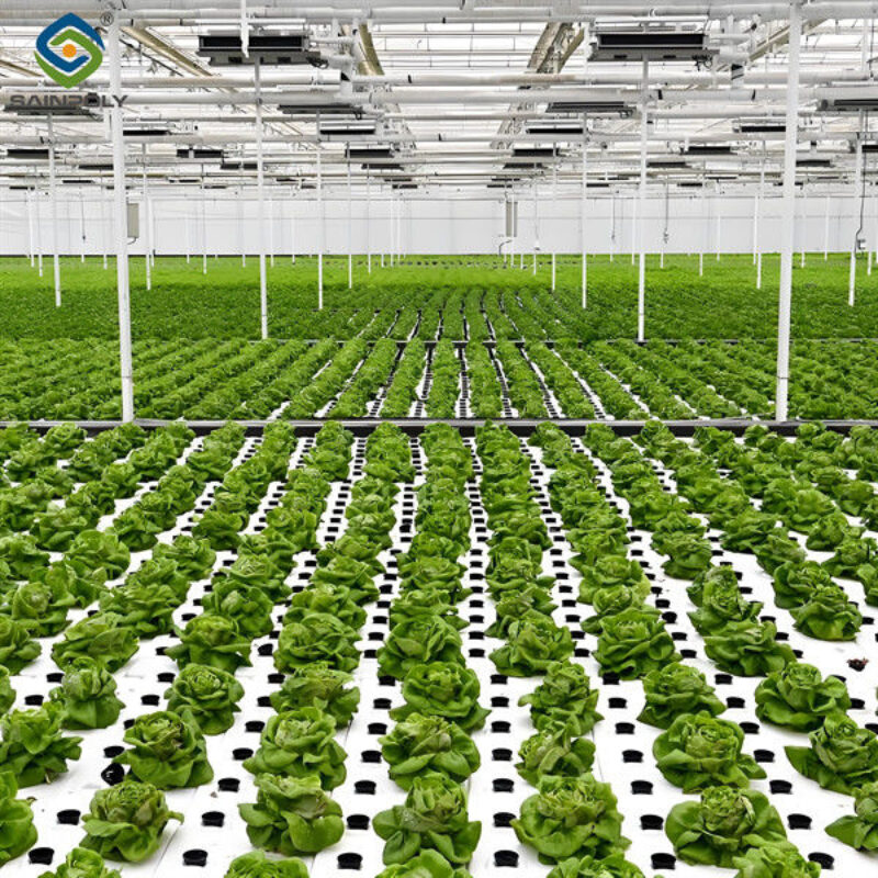 High Yield Large Vertical Hydroponic Greenhouse Soilless Cultivation