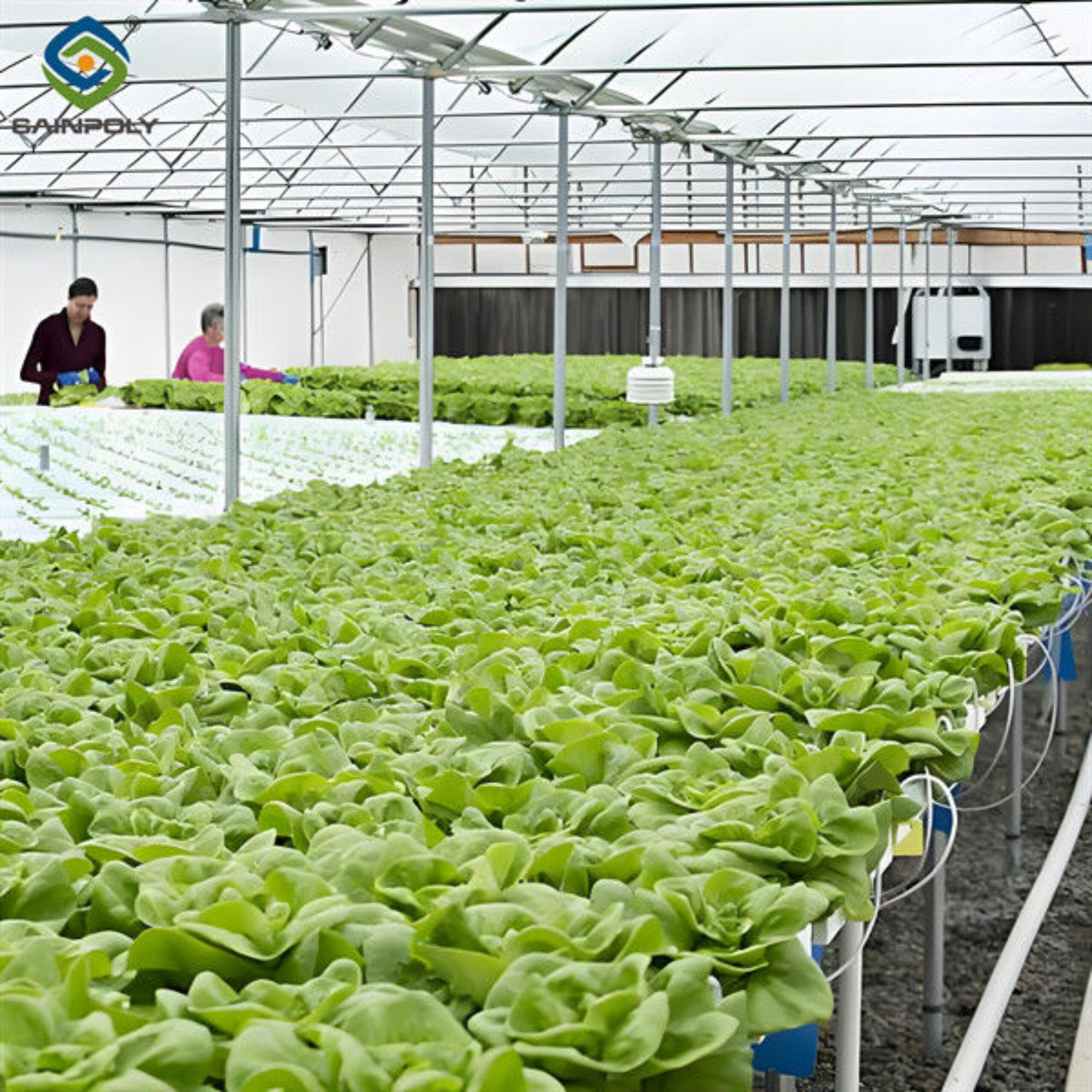 High Yield Large Vertical Hydroponic Greenhouse Soilless Cultivation