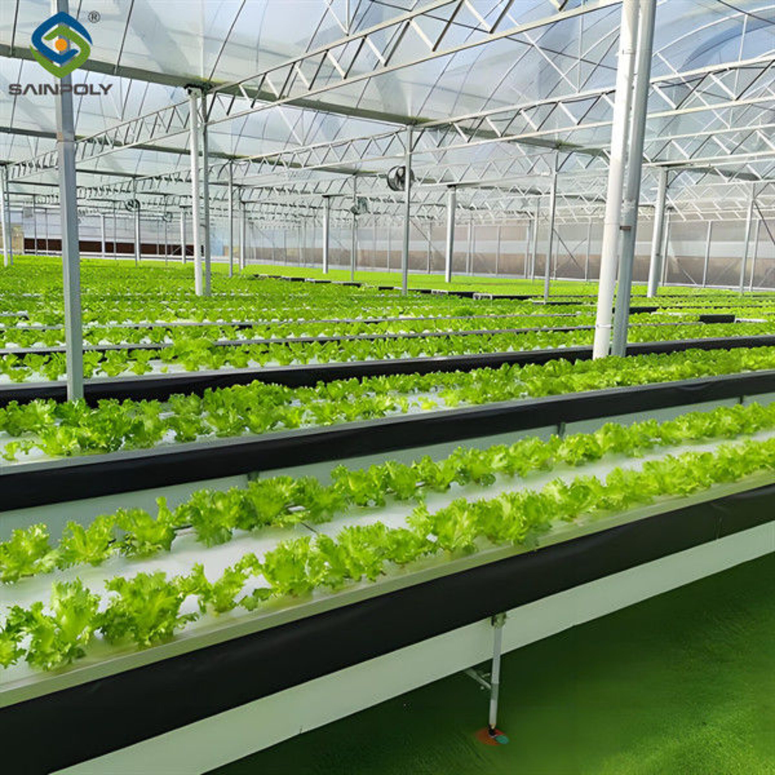 High Yield Large Vertical Hydroponic Greenhouse Soilless Cultivation