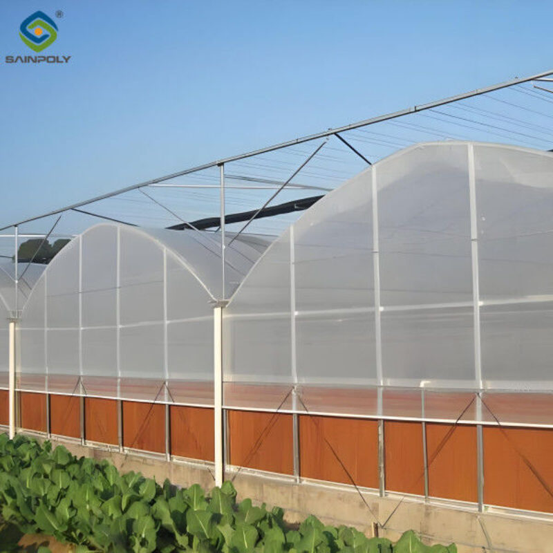 Hydroponic Glass / Pc Sheet Greenhouse With Tomato Growing System Large