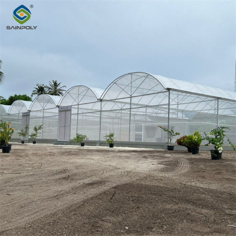 Hydroponic Glass / Pc Sheet Greenhouse With Tomato Growing System Large