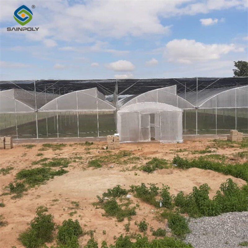 Hydroponic Glass / Pc Sheet Greenhouse With Tomato Growing System Large