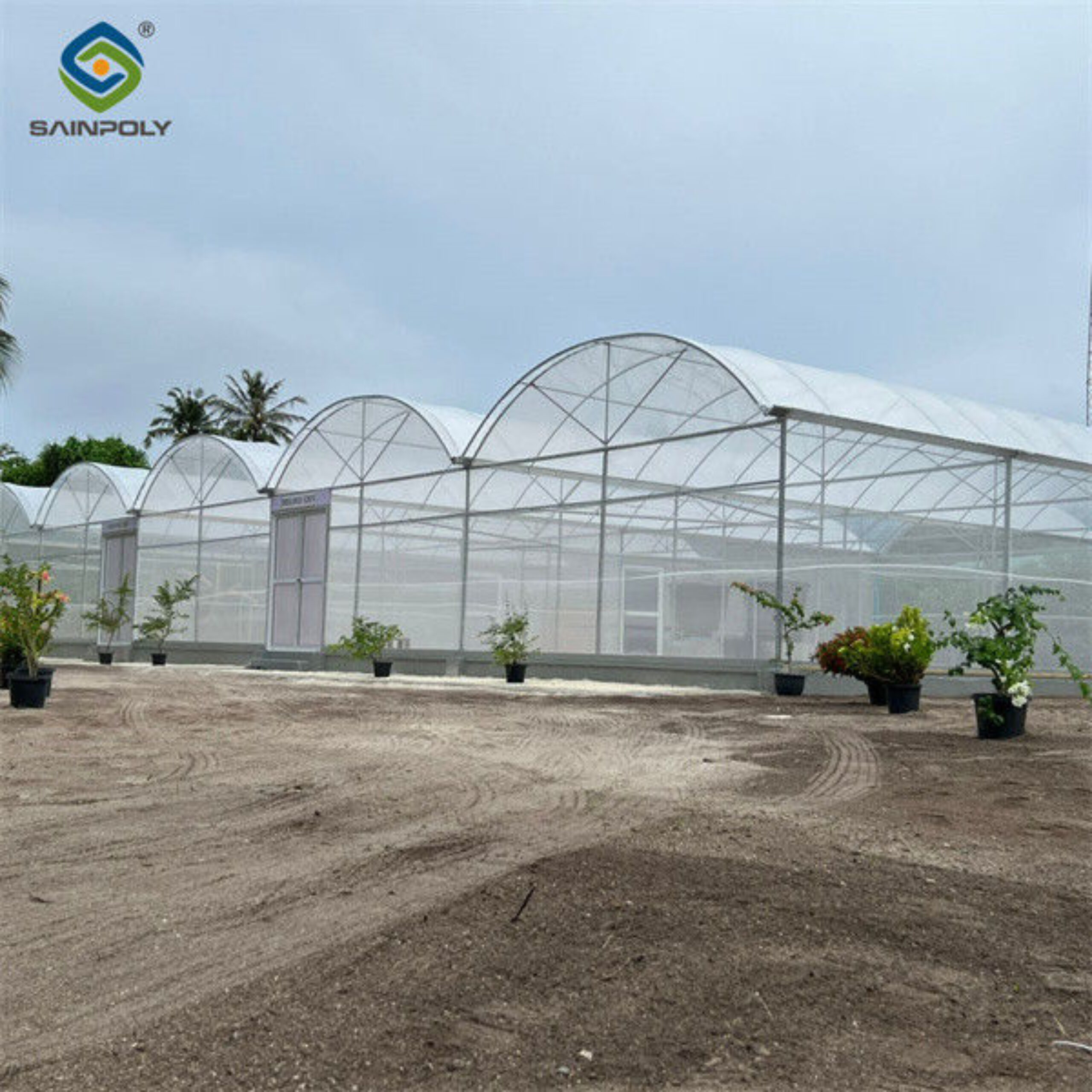 Hydroponic Glass / Pc Sheet Greenhouse With Tomato Growing System Large