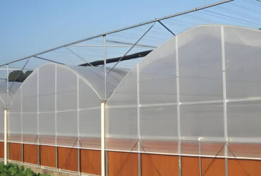 Hydroponic Glass / Pc Sheet Greenhouse With Tomato Growing System Large
