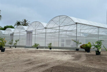 Hydroponic Glass / Pc Sheet Greenhouse With Tomato Growing System Large