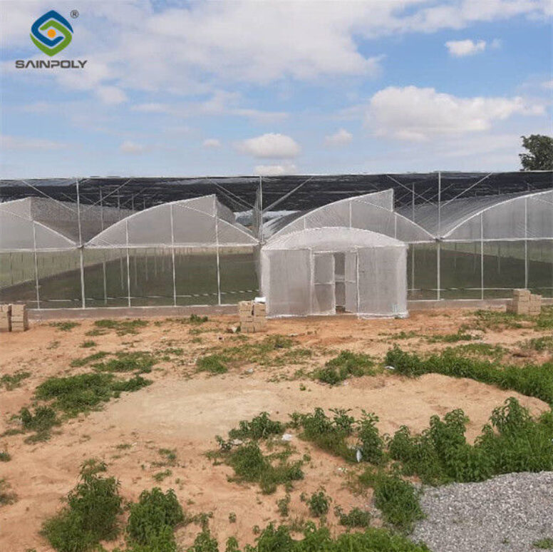 Hydroponic Glass / Pc Sheet Greenhouse With Tomato Growing System Large