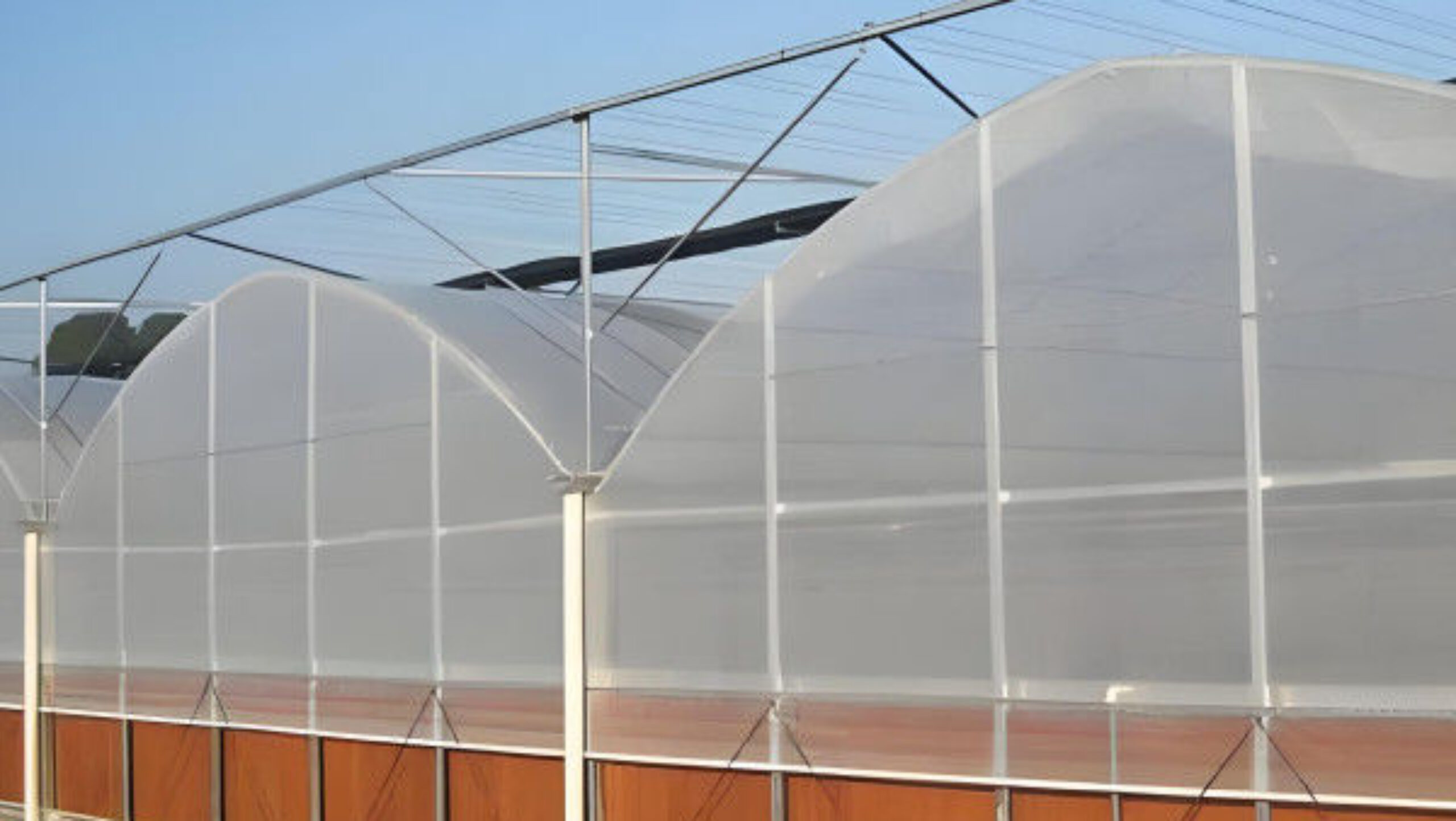 Hydroponic Glass / Pc Sheet Greenhouse With Tomato Growing System Large