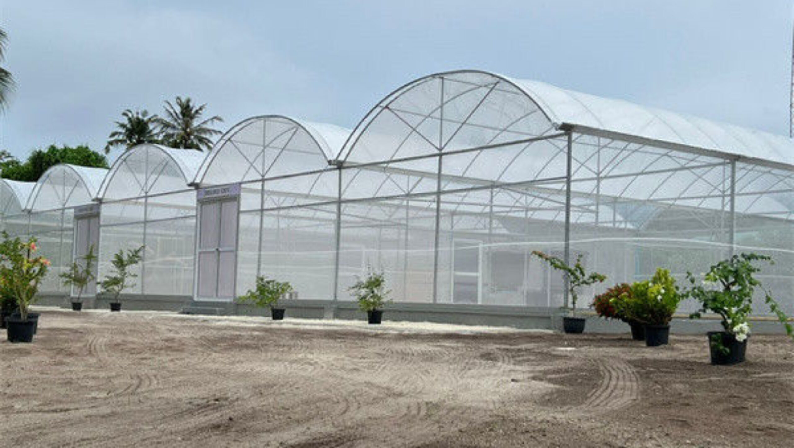 Hydroponic Glass / Pc Sheet Greenhouse With Tomato Growing System Large
