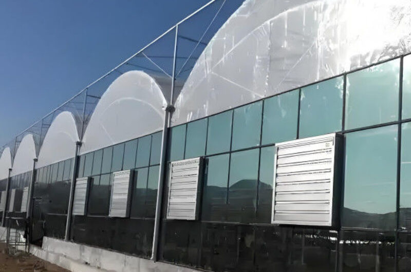 Hydroponic Glass / Pc Sheet Greenhouse With Tomato Growing System Large