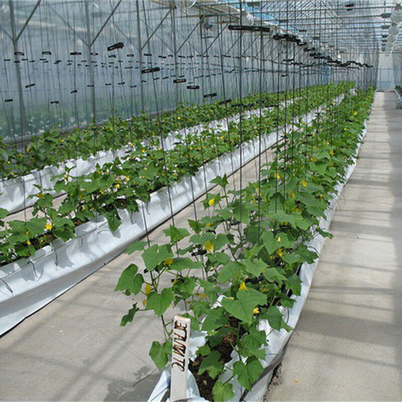 Hydroponic greenhouse for agricultural product cultivation