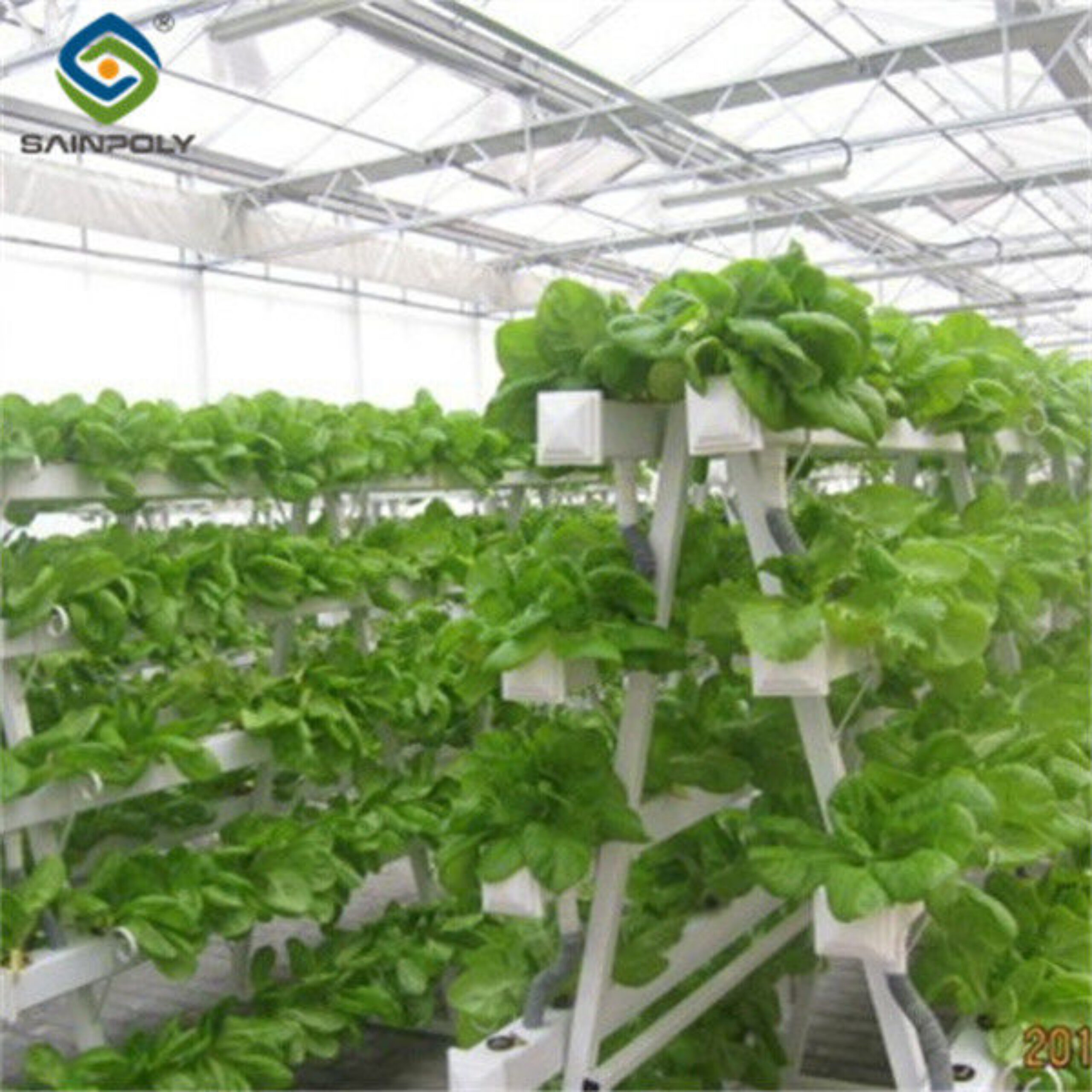 Hydroponic Lettuce Greenhouse Tunnel Green House Customized