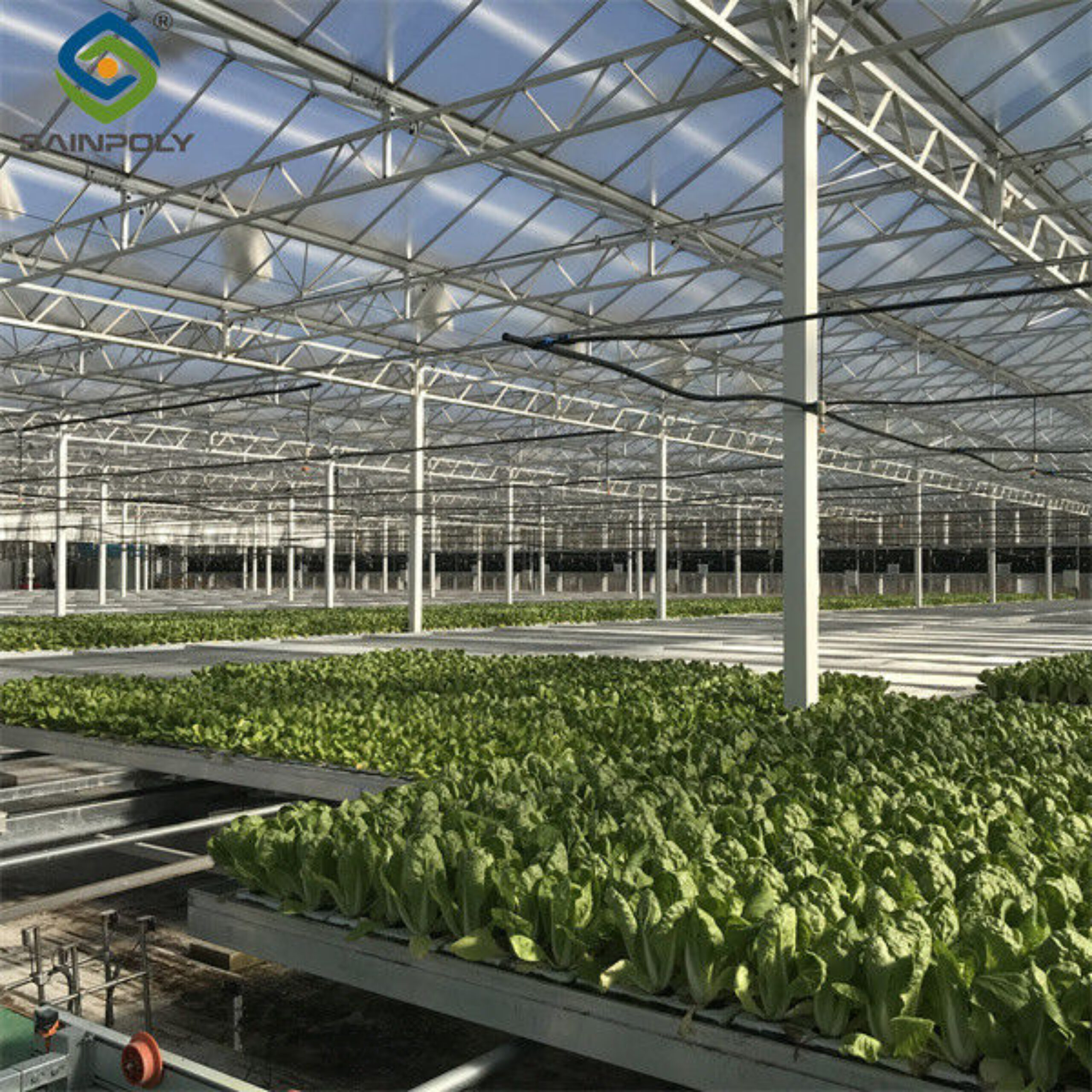 Hydroponic Lettuce Greenhouse Tunnel Green House Customized