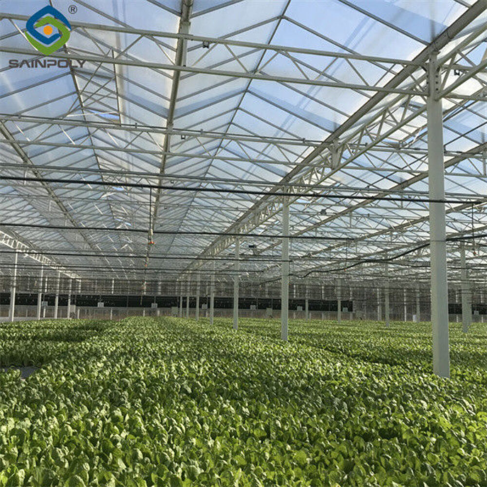 Hydroponic Lettuce Greenhouse Tunnel Green House Customized
